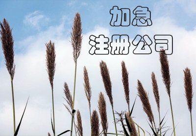 上海公司注冊(cè)都有哪些步驟？